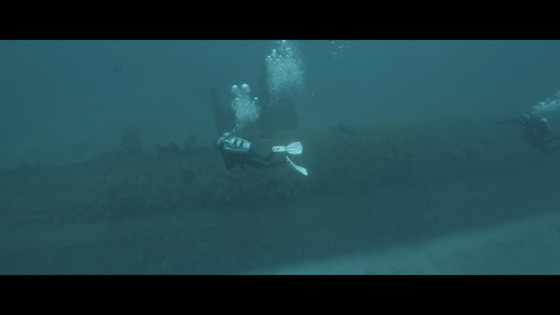 海底世界.mov_20240325_172825.168.jpg